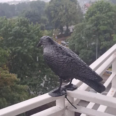 2pokojowy Przy Starowce W Kolobrzegu Kołobrzeg